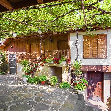 Хаджикольовата Къща Villa Медвен Екстериор снимка