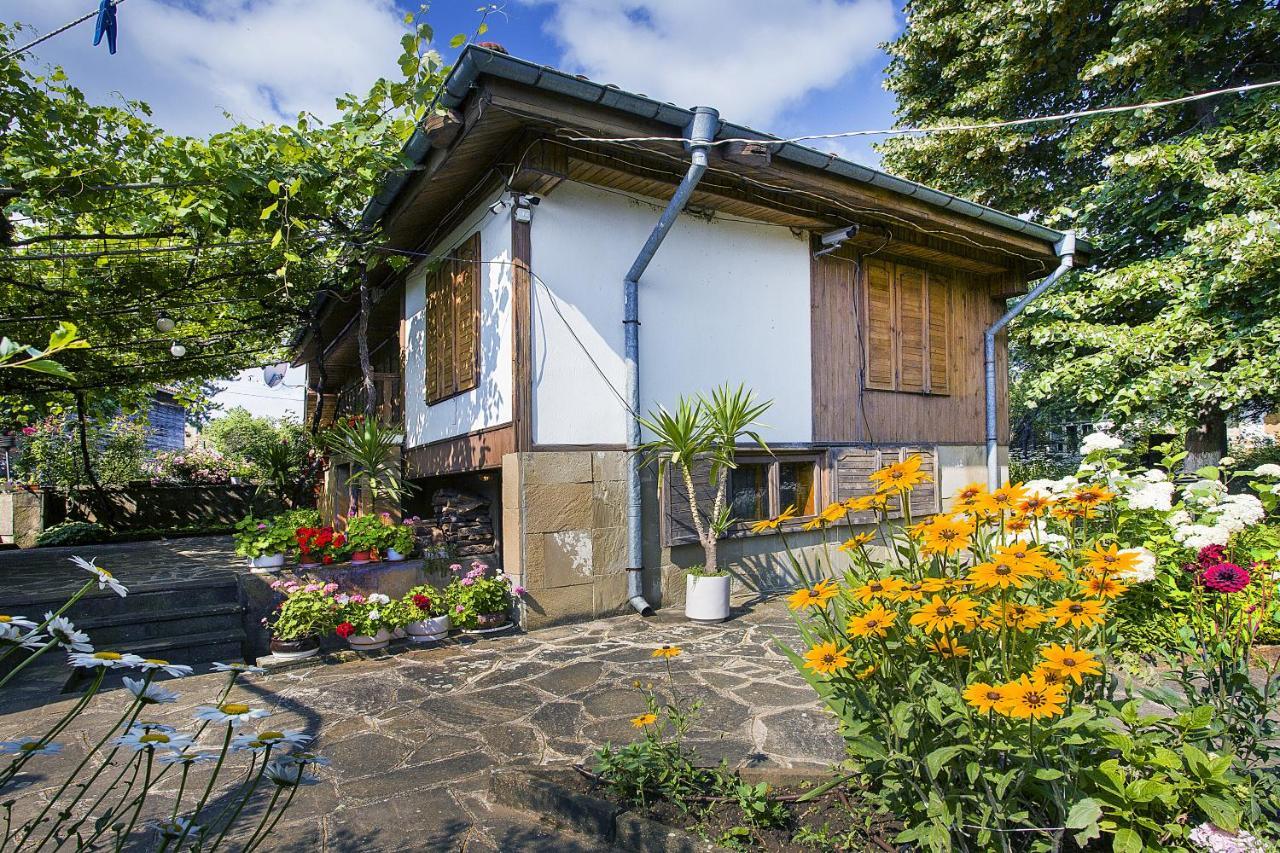 Хаджикольовата Къща Villa Медвен Екстериор снимка